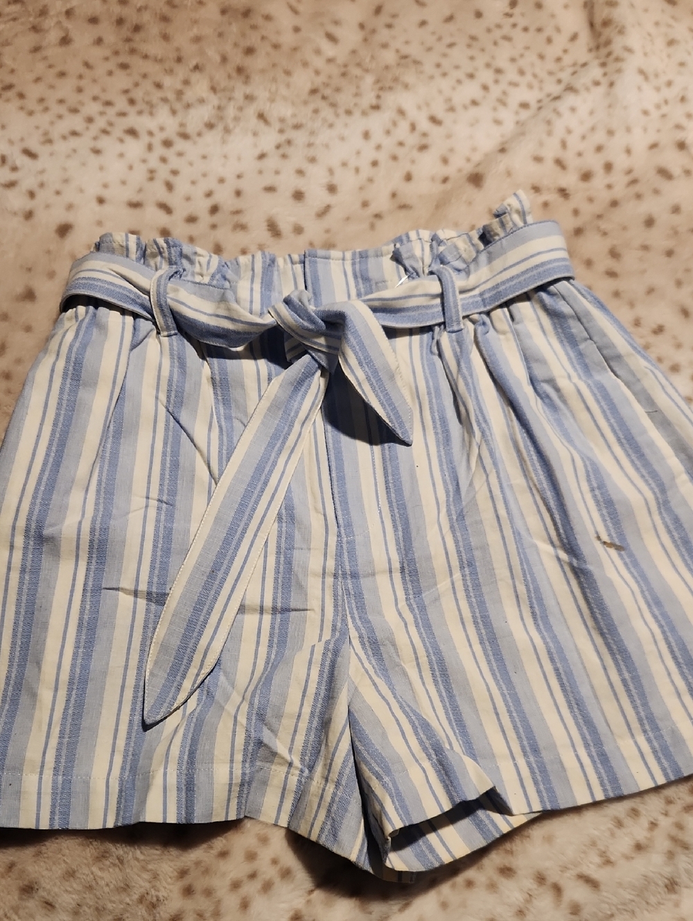 Express Blue & White Striped Paperbag Waist Shorts